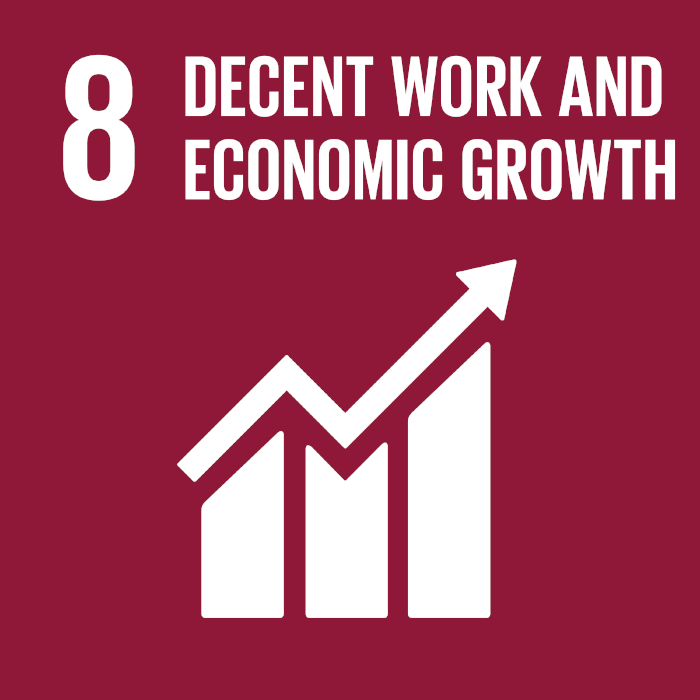 UN Sustainable Development
				goals